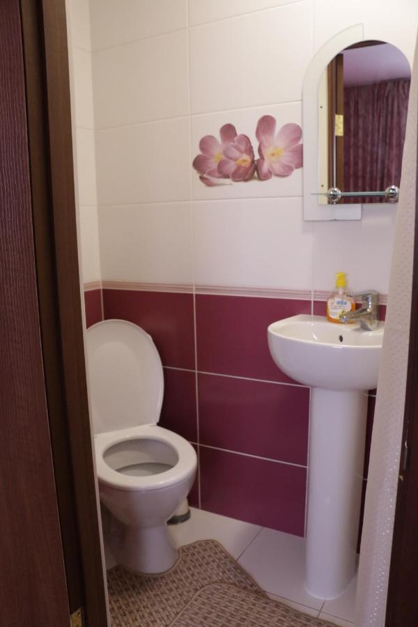 Karpatskyi Maetok Hotel Slavske Luaran gambar